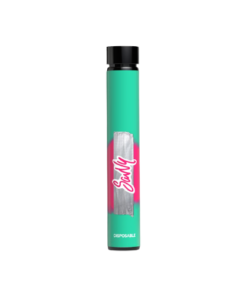 Buy Summer Melon Disposable Pen
